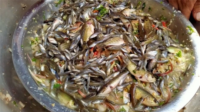 Những món ăn ở Việt Nam thách thức lòng can đảm của người thưởng thức: Có món là đặc sản được săn lùng với giá cao - Ảnh 6.
