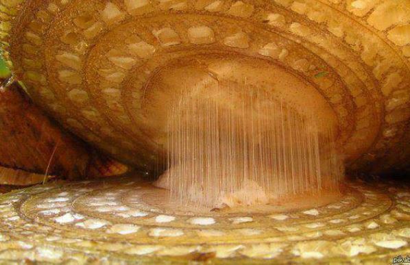 25 món đồ thông dụng nhưng trông thật khác lạ dưới góc nhìn kính hiển vi