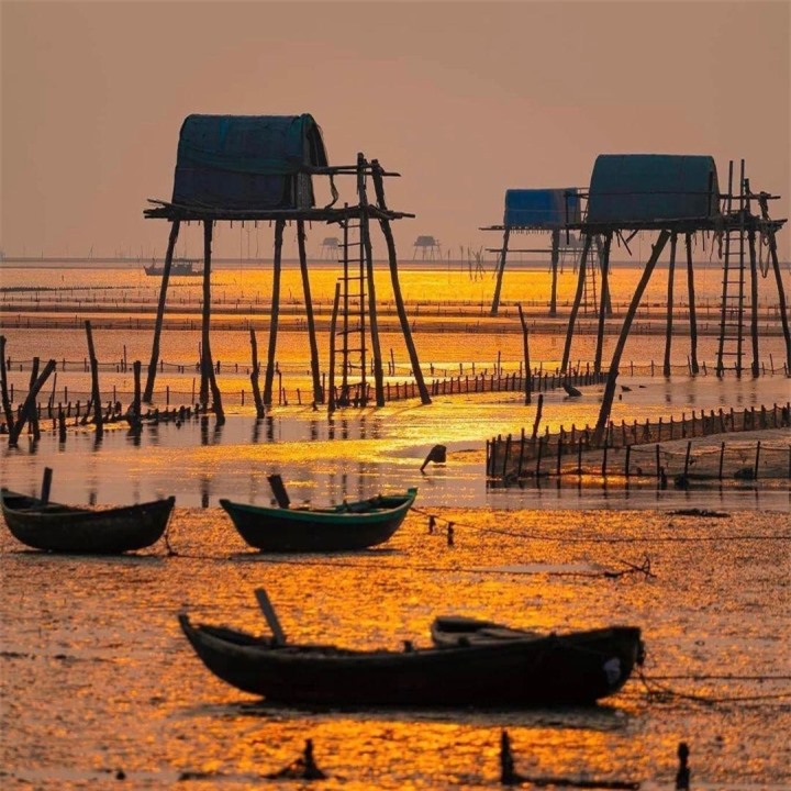 Bãi biển hoang sơ ở Thái Bình với những chòi canh ngao ẩn hiện đầy thơ mộng  - 3