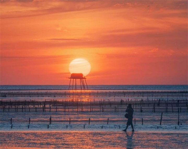 Bãi biển hoang sơ ở Thái Bình với những chòi canh ngao ẩn hiện đầy thơ mộng  - 5