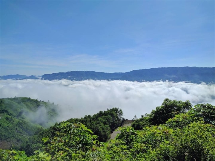 Phát hiện cung đường đèo phủ biển mây cực đỉnh nằm giữa Quảng Ngãi - Kon Tum - 5