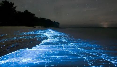 Cả dải đại dương bất ngờ bừng sáng rực rỡ trong đêm, một hiện tượng kỳ bí cuối cùng cũng lộ diện qua ảnh chụp thực tế