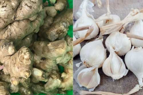 Kết hợp gừng với tỏi, cơ thể nhận về 6 lợi ích tuyệt vời: Chống viêm, tăng cường sức khỏe tim mạch