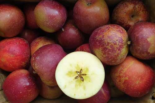 7 loại trái cây Trung Quốc nhập về Việt Nam nhiều nhất, chị em chú ý để tránh mua nhầm