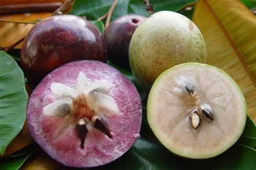 7 loại quả thuần Việt, không nhập từ Trung Quốc lại ít bị phun thuốc, thoải mái mua không cần nghĩ