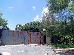 UBND TP Vũng Tàu yêu cầu xử lý doanh nghiệp xây dựng trái phép