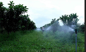 Cần Thơ: Tăng cường ứng dụng khoa học và công nghệ, đổi mới sáng tạo thúc đẩy chuyển đổi số trong lĩnh vực nông nghiệp