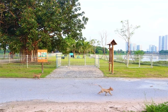 Ghé thăm công viên cho chó đầu tiên tại Hà Nội: Nhiều đồ chơi và khu vực ăn dành riêng cho thú cưng - Ảnh 1.