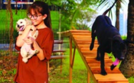 Ghé thăm công viên cho chó đầu tiên tại Hà Nội: Nhiều đồ chơi và khu vực ăn dành riêng cho thú cưng