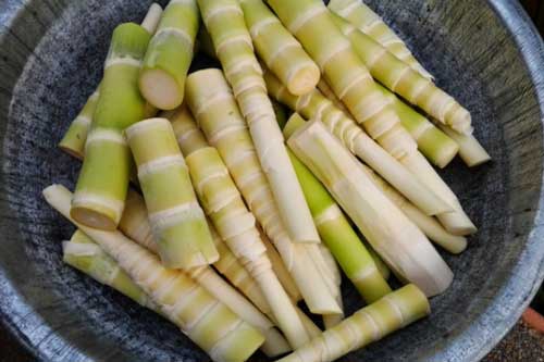 5 nhóm người tuyệt đối không được ăn măng dù thèm đến mấy kẻo hối không kịp