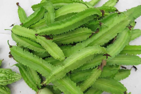 Giảm đau dạ dày bằng cách sử dụng quả đậu rộng