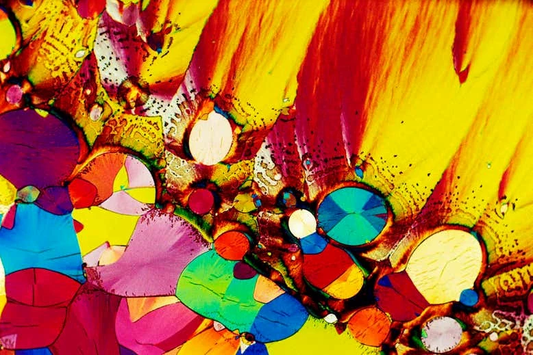 A polarized light micrograph of the brain neurotransmitter serotonin crystals.