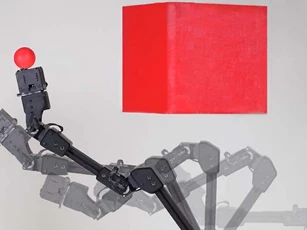 Researchers assert that a robot that can perceive its own body has self-awareness