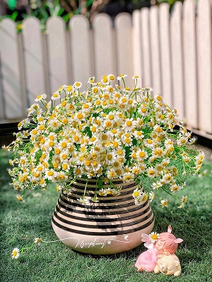 Tử vi ngày 21/7/2022 của 12 cung hoàng đạo