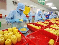 Ph&#x1EA5;n &#x111;&#x1EA5;u &#x111;&#x1B0;a Vi&#x1EC7;t Nam th&#xE0;nh trung t&#xE2;m ch&#x1EBF; bi&#x1EBF;n n&#xF4;ng s&#x1EA3;n Top 10 th&#x1EBF; gi&#x1EDB;i n&#x103;m 2030