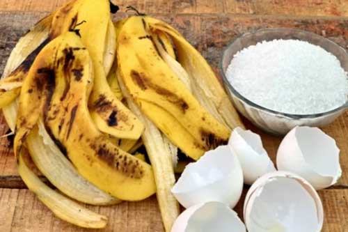 Kết hợp vỏ trứng và vỏ chuối: Hai thứ tưởng là thứ bỏ đi nhưng mang đến công dụng bất ngờ