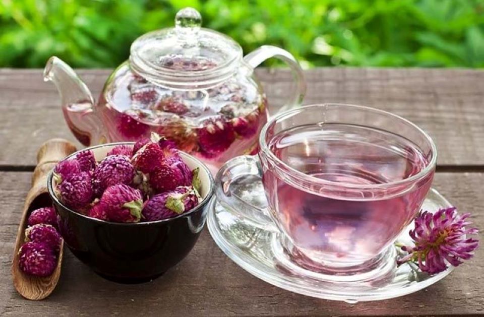 Top 5 loại thảo mộc hỗ trợ điều trị loãng xương