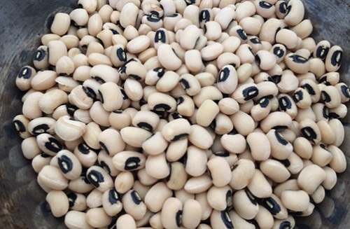 Ăn thường xuyên thực phẩm này bạn không lo thiếu canxi