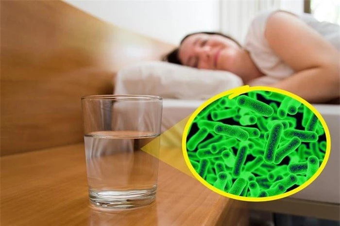 Nước là môi trường hoàn hảo để vi khuẩn sinh sôi sau khi để qua một đêm.