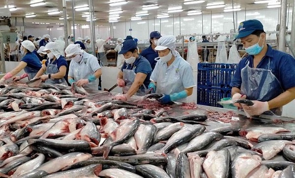 Nhiều lãnh đạo doanh nghiệp thủy sản bị tín dụng đen đe dọa