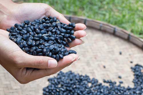 6 loại rau, hạt chứa nhiều protein hơn cả thịt, ăn vào đủ chất lại giảm cân, ngày càng trẻ đẹp