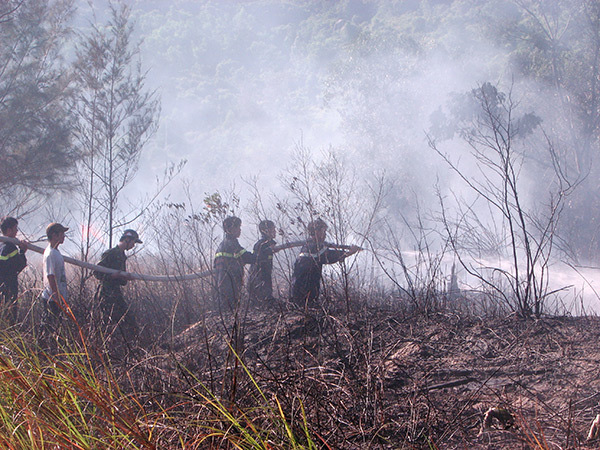 Đà Nẵng: Nắng nóng kéo dài, nguy cơ cháy rừng lên đến mức nguy hiểm