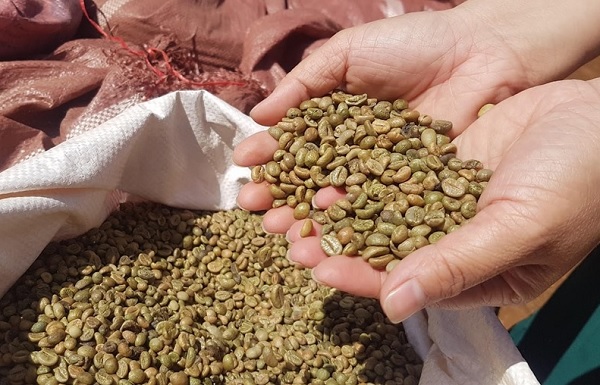 Trung Quốc luôn là thị trường tiêu thụ nhiều cà phê Việt Nam