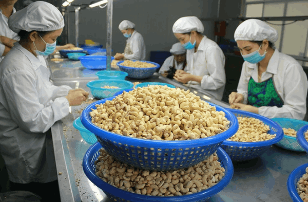 Vietnam strives to be among the top ten producers of farm products worldwide