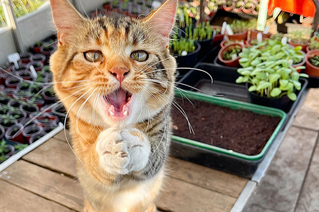 Bật cười trước những khoảnh khắc hài hước và đáng yêu của động vật