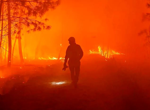 Nắng nóng thiêu đốt khắp thế giới: Nguyên nhân đến từ 'cái bơm khổng lồ' của con người!