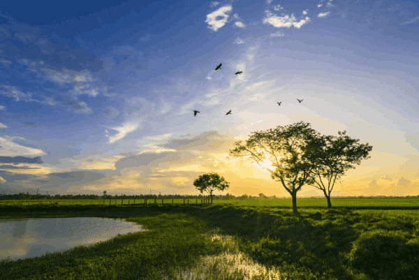 Future economic growth in the face of diminishing resource