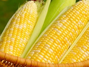 Thực phẩm nên ăn khi bị gan nhiễm mỡ