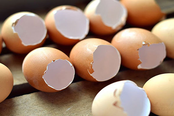 Bạn có biết vỏ trứng gà cũng có thể làm đẹp da?