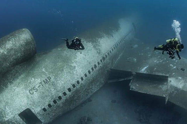 Xác máy bay dưới đáy Biển Đỏ trở thành điểm hút khách