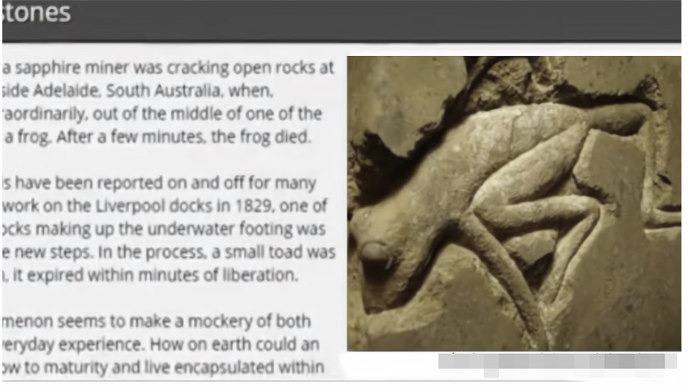 Tìm thấy ếch 2 triệu tuổi vẫn sống trong mỏ dầu: Chìa khóa trường sinh của loài người? - Ảnh 4.