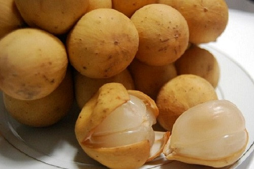 Công dụng làm đẹp tuyệt vời của quả Bòn Bon