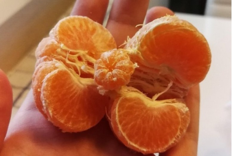 14 sự vật tưởng bình thường nhưng nhìn kỹ bạn sẽ phải ngạc nhiên trầm trồ