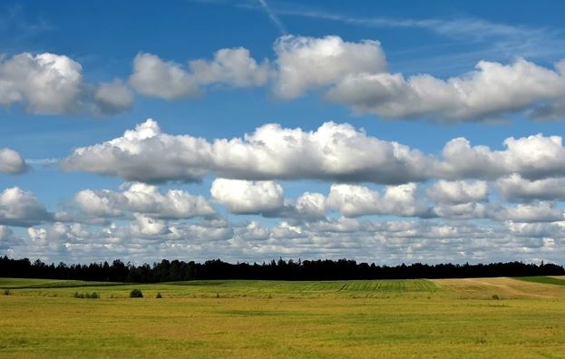 Tìm hiểu về các loại mây tồn tại trên hành tinh của chúng ta