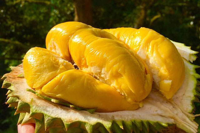 Loại trái cây càng ăn càng tăng cân