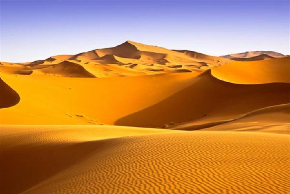 Trái ngược với Sahara, sa mạc kỳ dị có cá sống được trong cát: Nguyên nhân là do đâu? - Ảnh 1.
