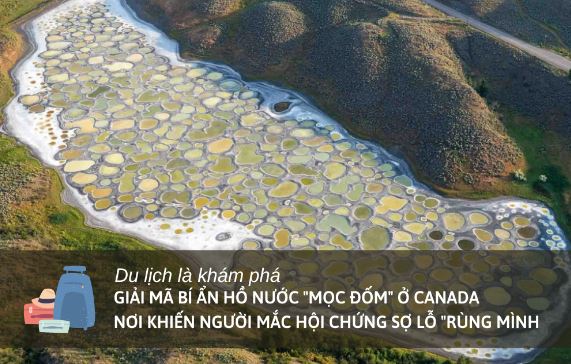 Lý giải bí ẩn hồ nước “mọc đốm” ở Canada: Nơi khiến người mắc hội chứng sợ lỗ "rùng mình"