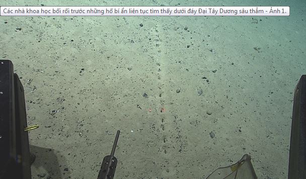 Các nhà khoa học bối rối trước những hố bí ẩn liên tục tìm thấy dưới đáy Đại Tây Dương sâu thẳm