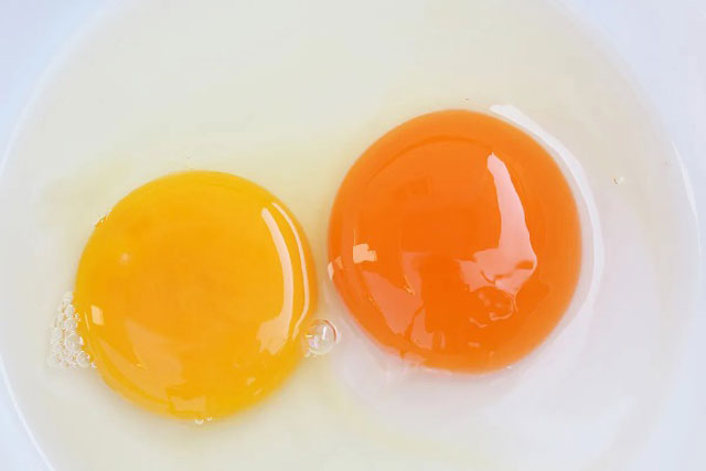 Lòng đỏ trứng màu đậm và nhạt, cái nào tốt hơn: Chuyên gia giải mã điều nhiều người lầm tưởng