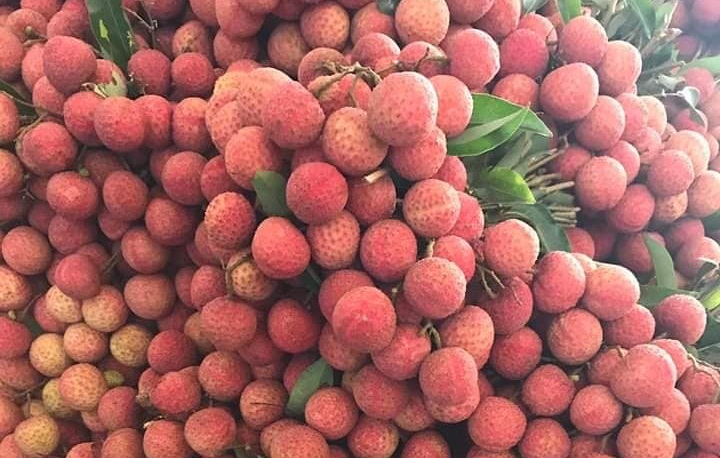 Loại trái cây mùa hè khiến bạn tăng cân vù vù