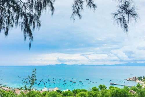 Cù lao hoang sơ sở hữu các góc sống ảo cực chất chỉ cách Quy Nhơn 14 cây số