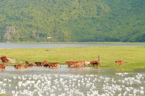Tìm về bình yên với chốn non nước hoang sơ kỳ vĩ cách trung tâm Hà Nội không xa