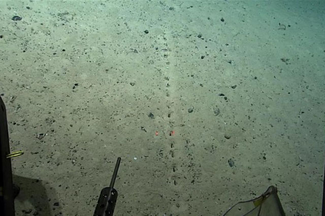 Những lỗ thủng kỳ lạ được phát hiện dưới đáy đại dương