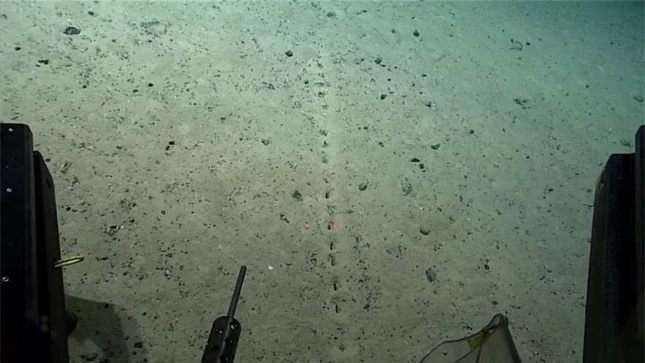 Những lỗ thủng kỳ lạ được phát hiện dưới đáy đại dương ảnh 1