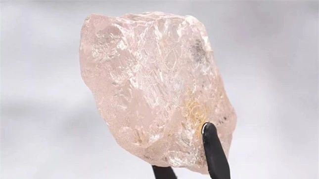 Vừa phát hiện viên kim cương hồng lớn nhất trong hơn 300 năm qua ảnh 1