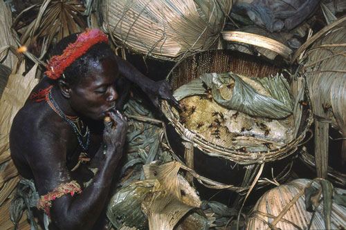 Những bí ẩn chưa từng tiết lộ về bộ lạc sống biệt lập gần 60.000 năm ngoài Ấn Độ Dương